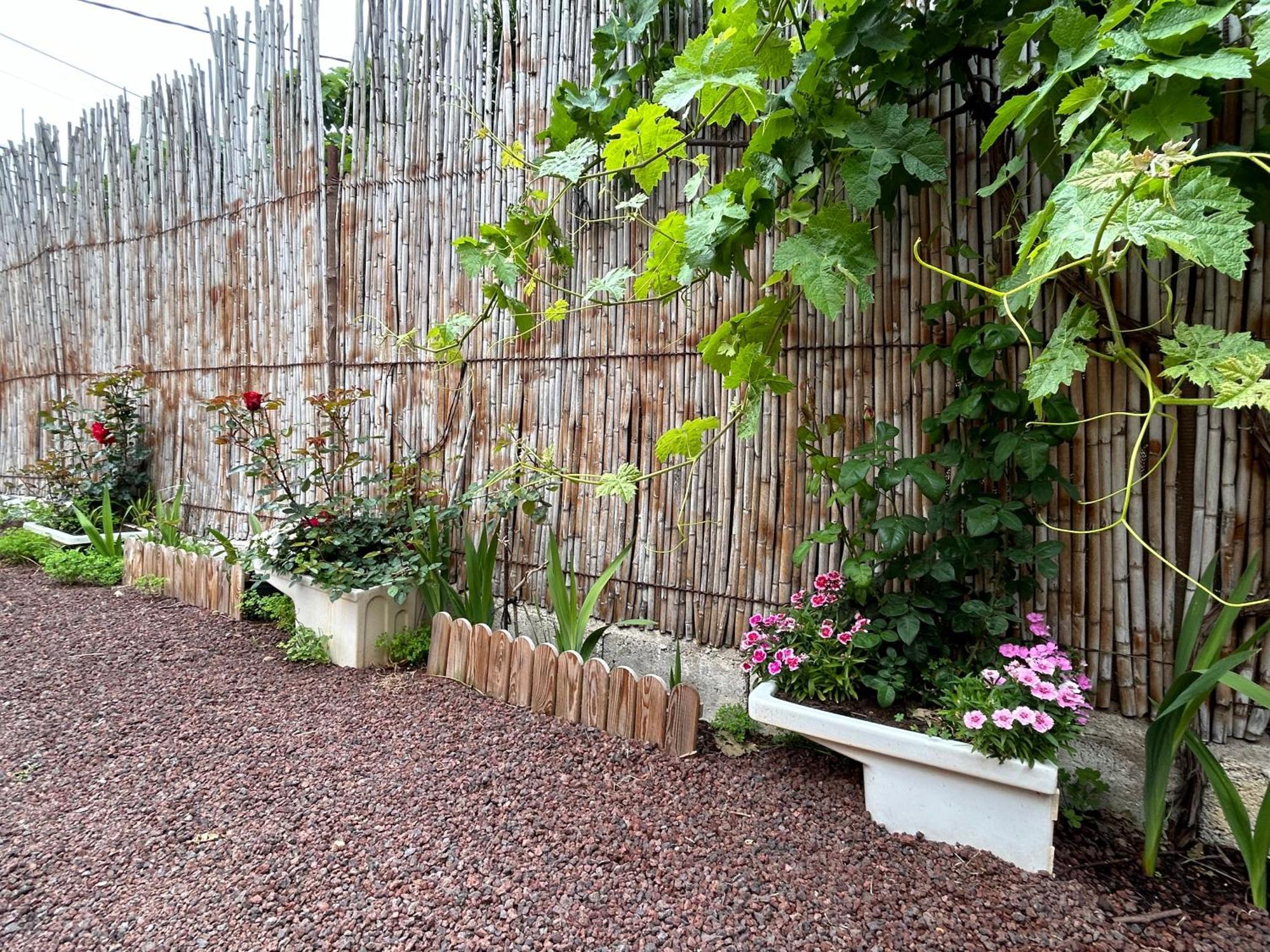 La Casa De Naranjos