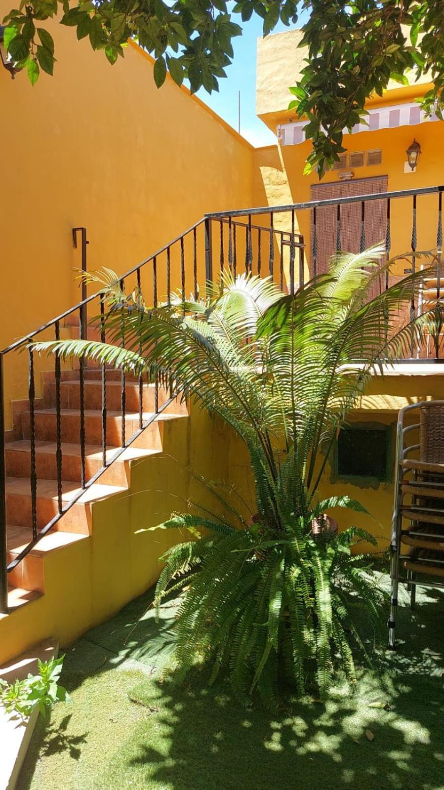 La Casa De Naranjos Hébergement de vacances Vega de San Mateo
